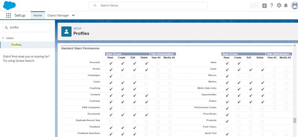 profile assignment in salesforce