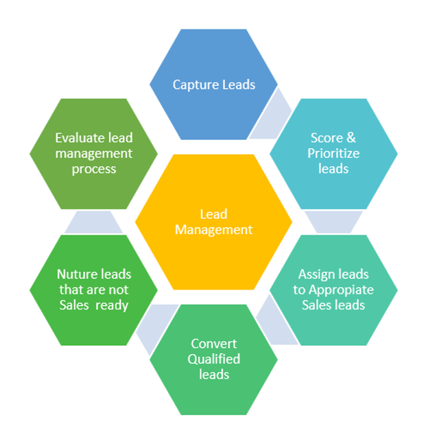 Lead Management With Salesforce CRM